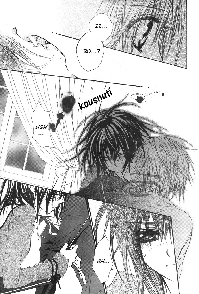 Vampire_Knight_ch29_25 kopie.jpg